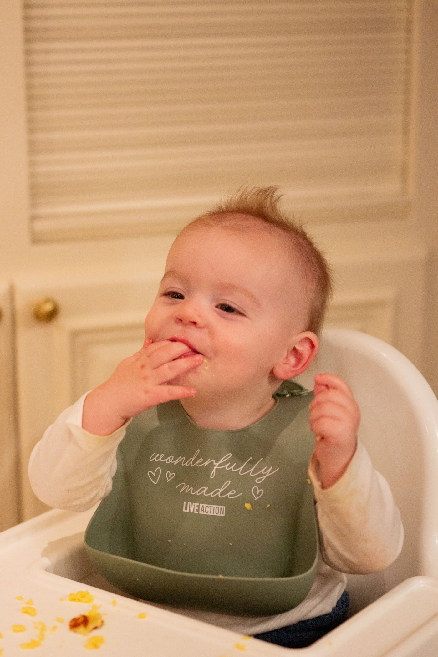 "Wonderfully Made" Baby Bib