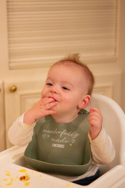 "Wonderfully Made" Baby Bib