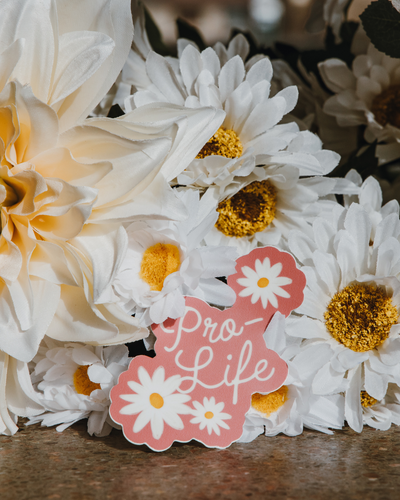 Pink Pro-Life Daisy Sticker